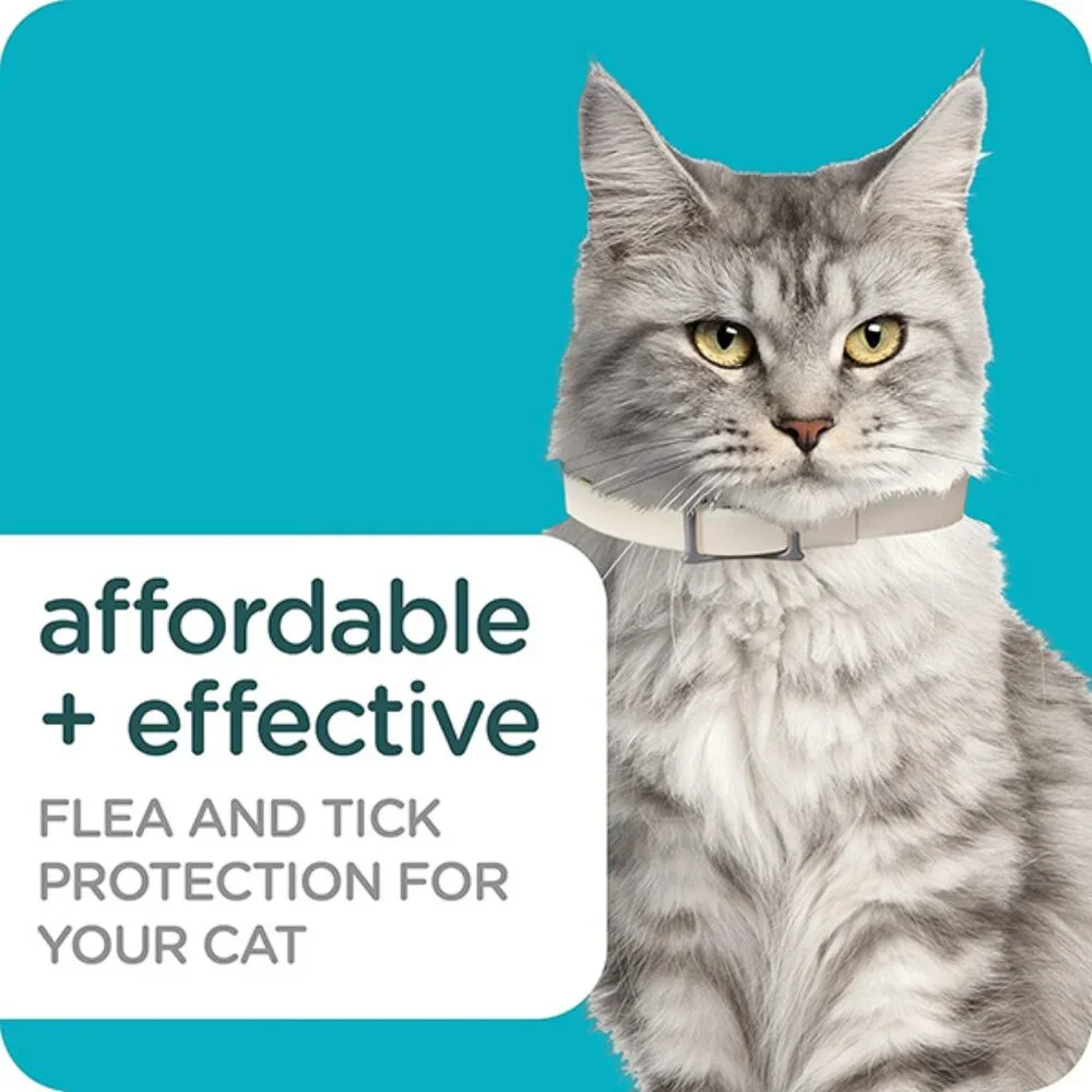 New Guardian Pro Flea and Tick Collar for Cats 1 Count Long Lasting Protection